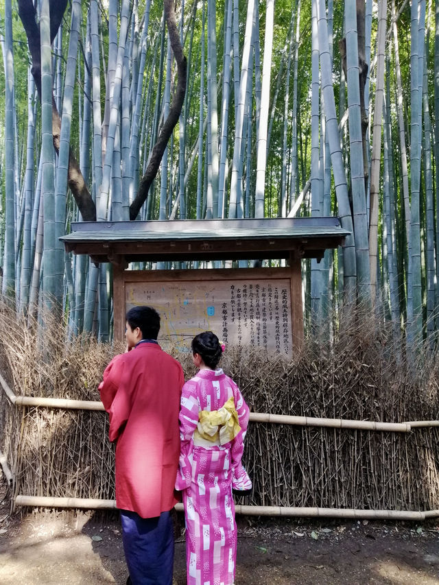 Lost in the Bamboo Sauce: A Stroll Through Arashiyama Bamboo Forest 