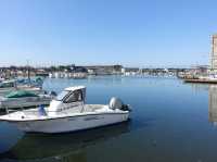 🚢 魚の駅生地 できたて館 航海灯 – Fresh Seafood Right by the Port