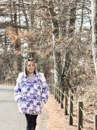 ลานสกี ใกล้ Tokyo ที่ Karuizawa