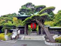 เที่ยวเมือง Kamakura✨️