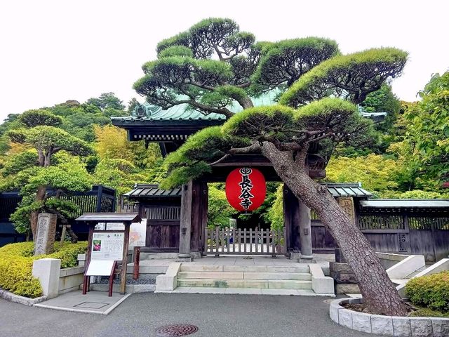 เที่ยวเมือง Kamakura✨️