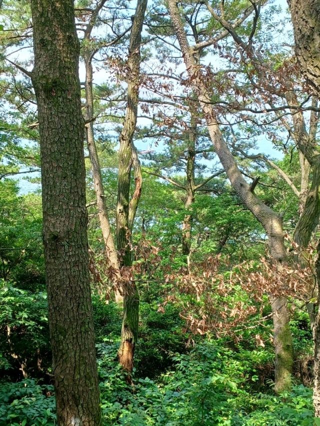절벽과 바다가 빚어낸 드라마틱한 해안 절경 탐방