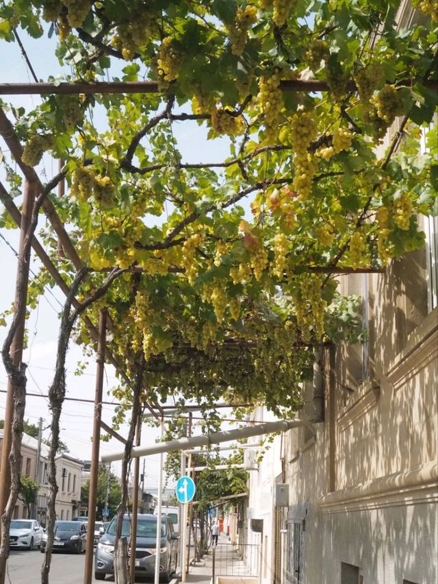 【ジョージア🇬🇪】ゴリカツレツと緑の風に誘われて