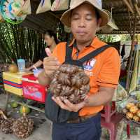 Ho Chi minh tour