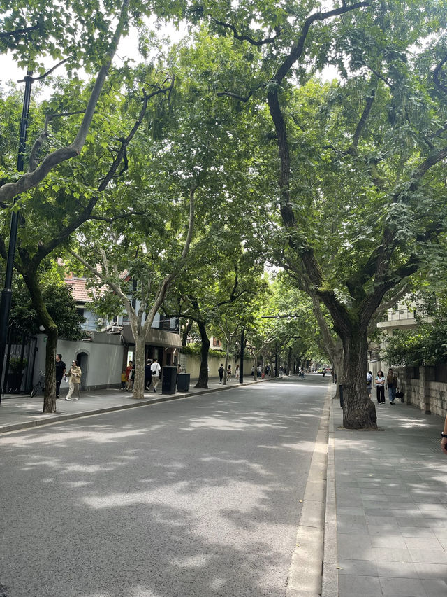 🌿🚶‍♀️ Slow Walk in Shanghai｜No Landmarks, Just Vibes ☕📷🌇 
