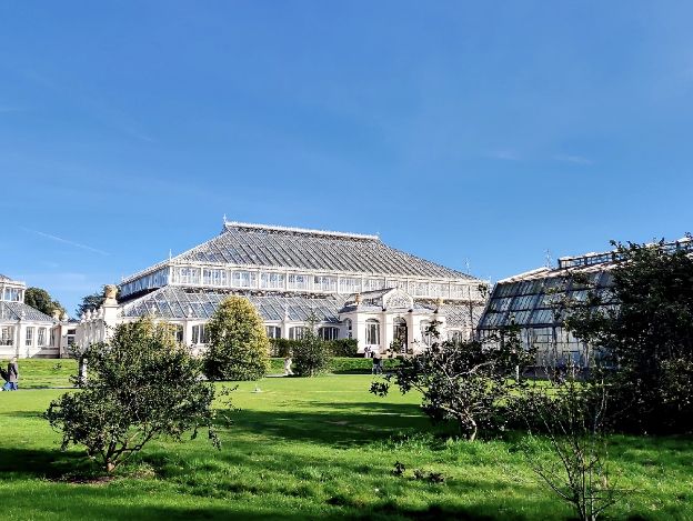 Kew Gardens: A Botanical Oasis in London! 🇬🇧🌿