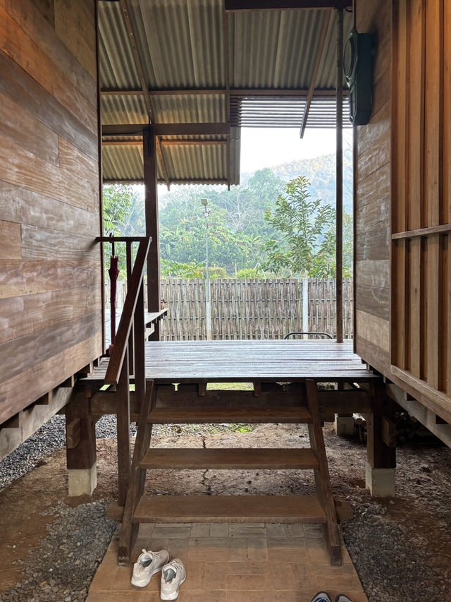 ม่อนอิงสุข eco stay โฮมสเตย์กลางป่า เชียงใหม่