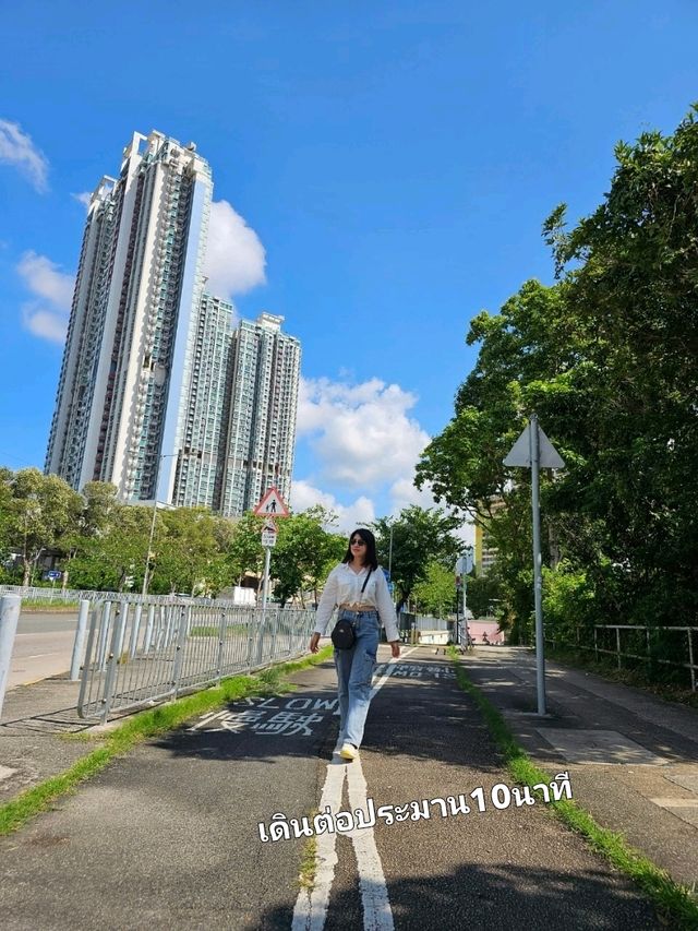 วัดแชกงหมิว – ขอพรเสริมดวงที่ฮ่องกงให้ปัง ✨
