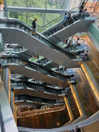 เช้าตรู่ที่ The Peak ฮ่องกง – วิว 360 องศา 