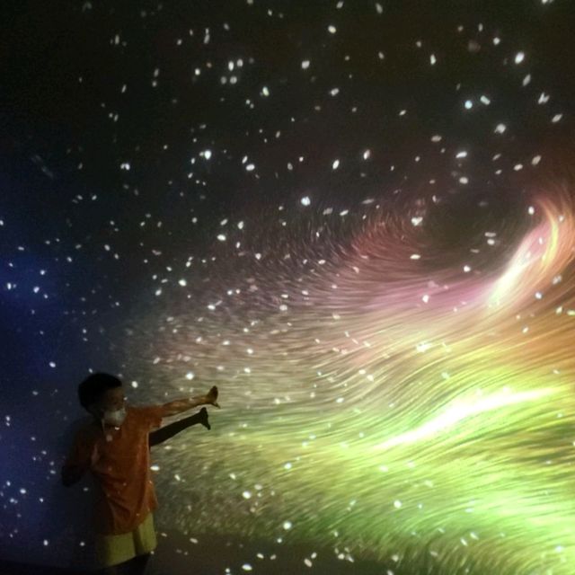 여름에 서늘한 태백여행지☀️탄탄파크