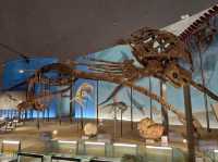🦖 Roarsome Solo Adventure: Fukui Prefectural Dinosaur Museum