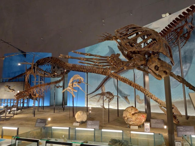 🦖 Roarsome Solo Adventure: Fukui Prefectural Dinosaur Museum