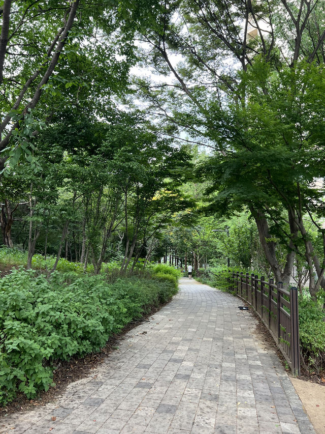 도서관과 숲속 공원