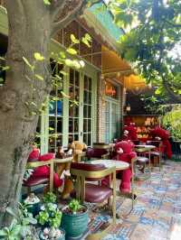 New Delhi Nice Coffee..