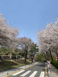 🌇 ชมวิวโซลแบบ 360 องศา – N Seoul Tower