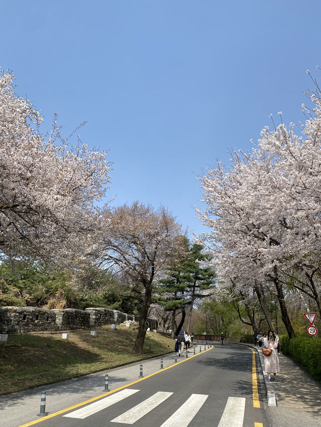 🌇 ชมวิวโซลแบบ 360 องศา – N Seoul Tower