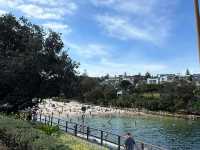 Clovelly Beach - 海泳、戲水 & 浮潛天堂