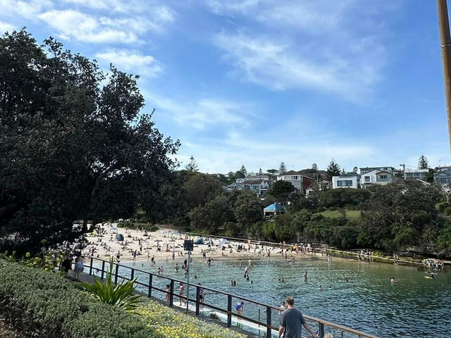 Clovelly Beach - 海泳、戲水 & 浮潛天堂