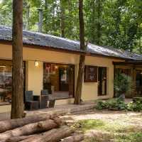 คาเฟ่/ร้านอาหารไทย ในเมืองเชียงใหม่ ร่มรื่นดี