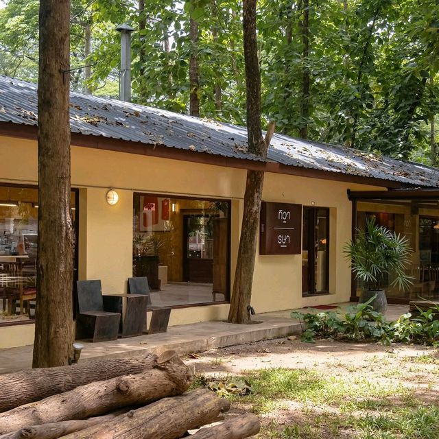 คาเฟ่/ร้านอาหารไทย ในเมืองเชียงใหม่ ร่มรื่นดี