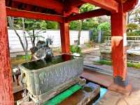 Echoes of Edo at Kan'ei-ji Temple complex