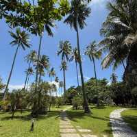 🌴✨คาเฟ่ Shantaa Koh Kood