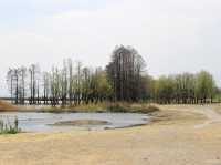 One fine day at Erhai lake in Dali!