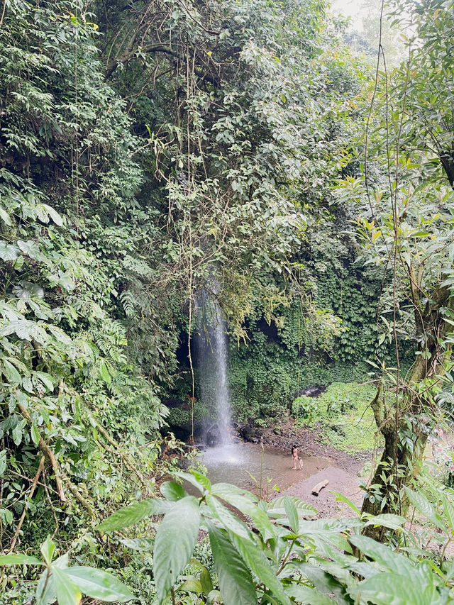 Banyu Wana Amertha Waterfall view 1