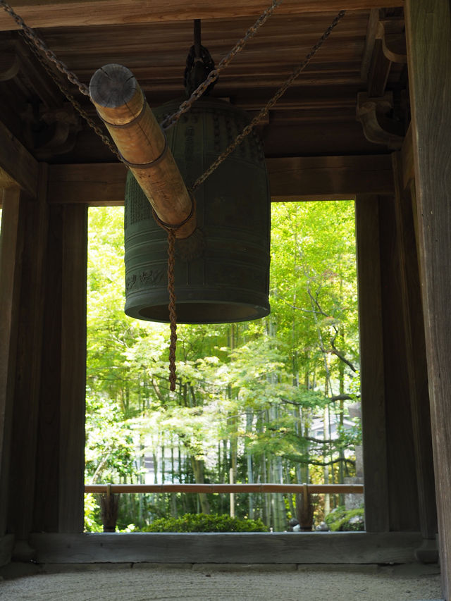 【鎌倉】報国寺の竹林
