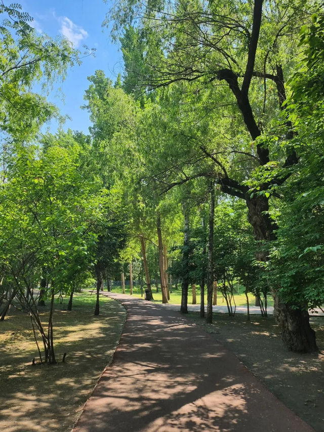 Qunli Wetland Park ☀️ 🌳 