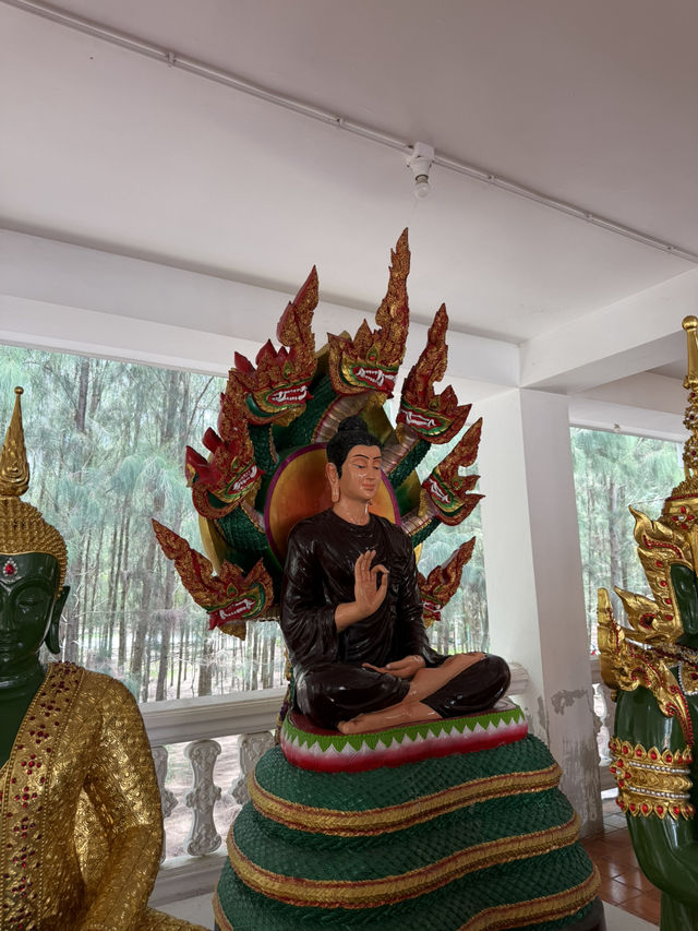 แค่เดินผ่านก็ขนลุกแล้ว! 😱🐉 พญานาคที่วัดดอนขนาก