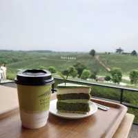 緑の海に浮かぶカフェ！チュイフォンでしか味わえない絶景ティー体験🇹🇭