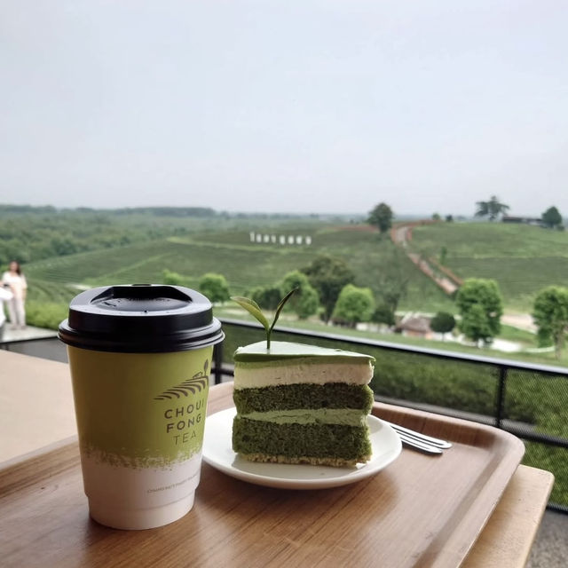 緑の海に浮かぶカフェ！チュイフォンでしか味わえない絶景ティー体験🇹🇭