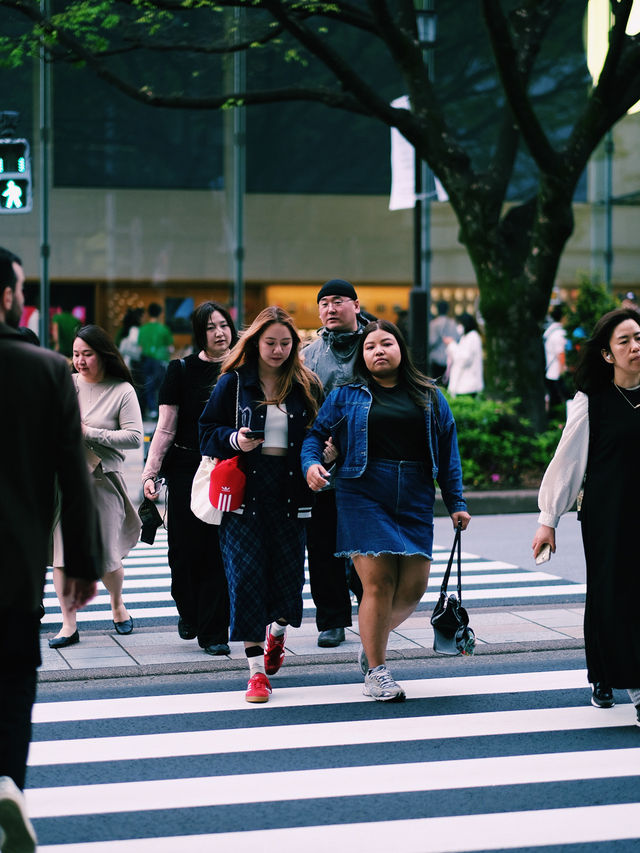 🎌 Harajuku & Takeshita Street – ย่านแฟสุดปัง