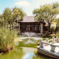 Solo Serenity at Wolhwawon Garden: Seoul’s Secret Chinese Oasis** 🌸🏯  