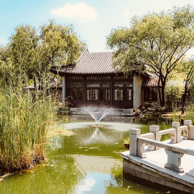 Solo Serenity at Wolhwawon Garden: Seoul’s Secret Chinese Oasis** 🌸🏯  