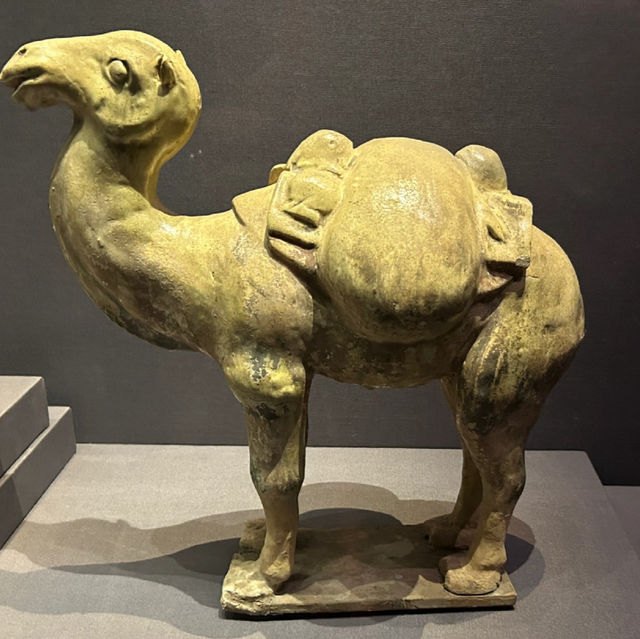 📍Inner Mongolia Museum – What to Know for Your First Visit!