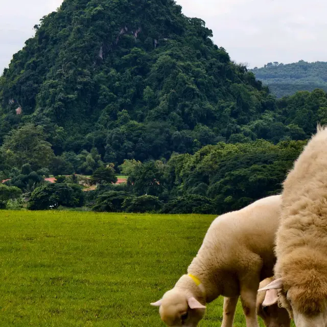 เชียงราย 3 วัน 2 คืน