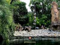 Jungle River Cruise