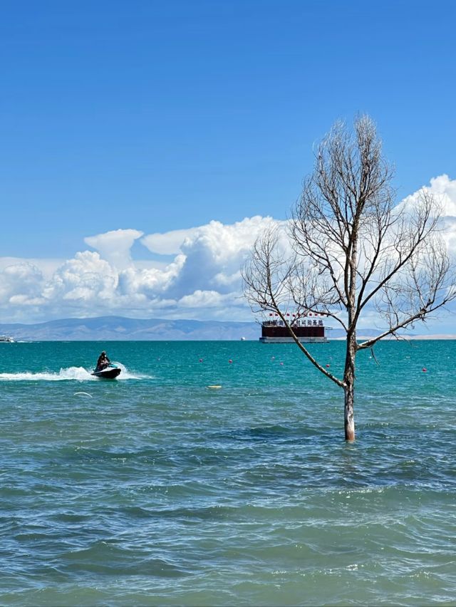 Beyond the Mountains: A Journey to Qinghai Lake