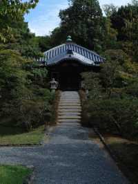 【桂離宮】日本庭園の最高峰へ🌿美と静寂が織りなす“究極の空間”
