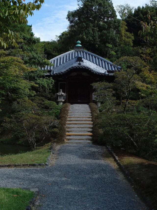 【桂離宮】日本庭園の最高峰へ🌿美と静寂が織りなす“究極の空間”