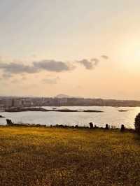 A Natural Balcony Overlooking Jeju's Eastern Coast