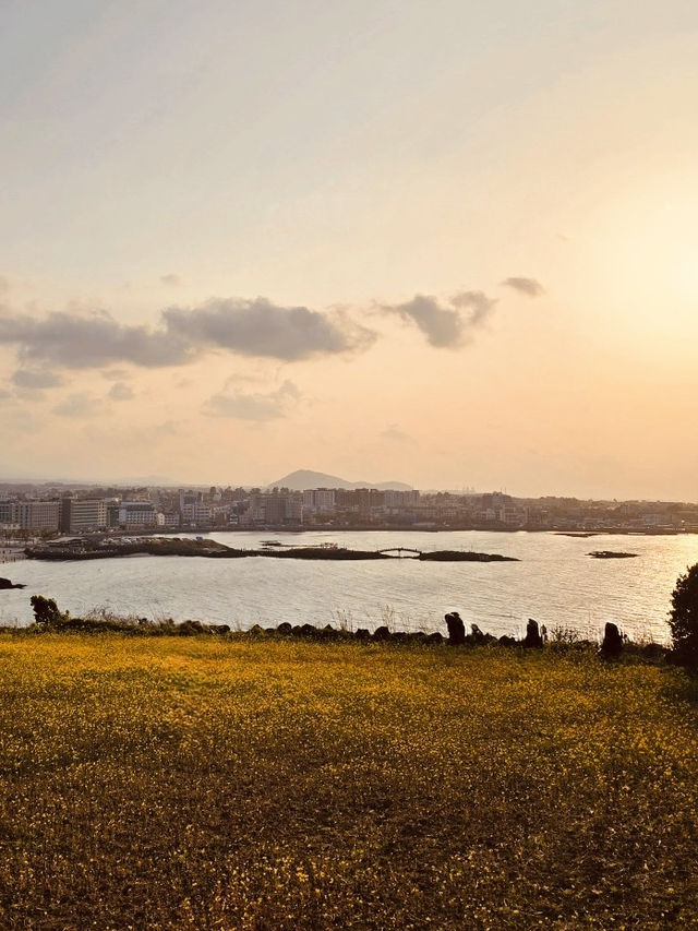 A Natural Balcony Overlooking Jeju's Eastern Coast