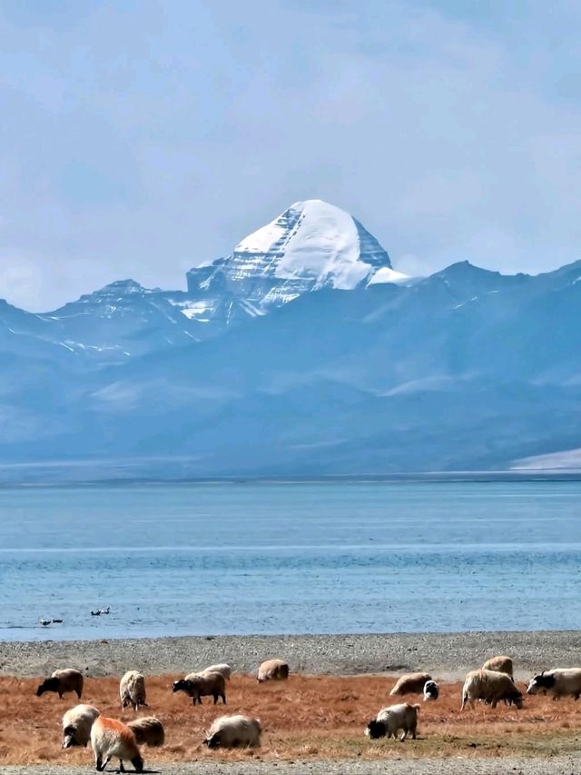 Sacred Views at Manasarovar Lake,