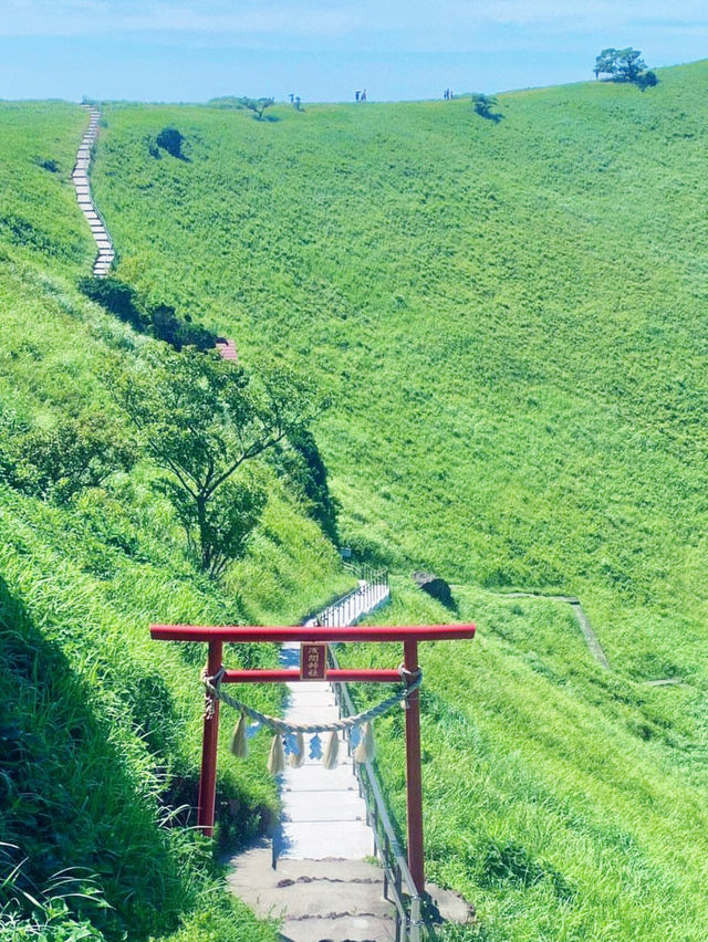 日本伊豆島必去抹茶綠大室山和必吃海鮮丼鰻魚飯