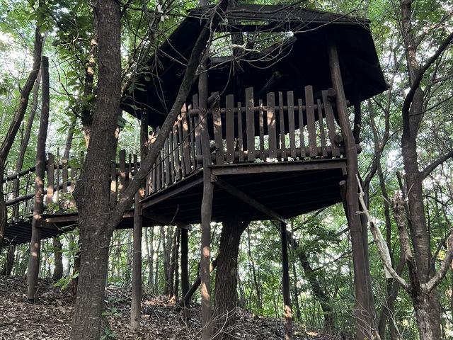 그린웨이 산책길