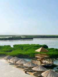 Bayanbulak Grassland Is Next Level Peaceful