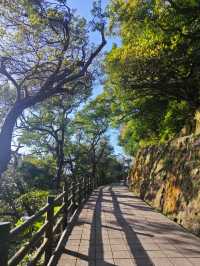 Yangmingshan National Park 🍃 