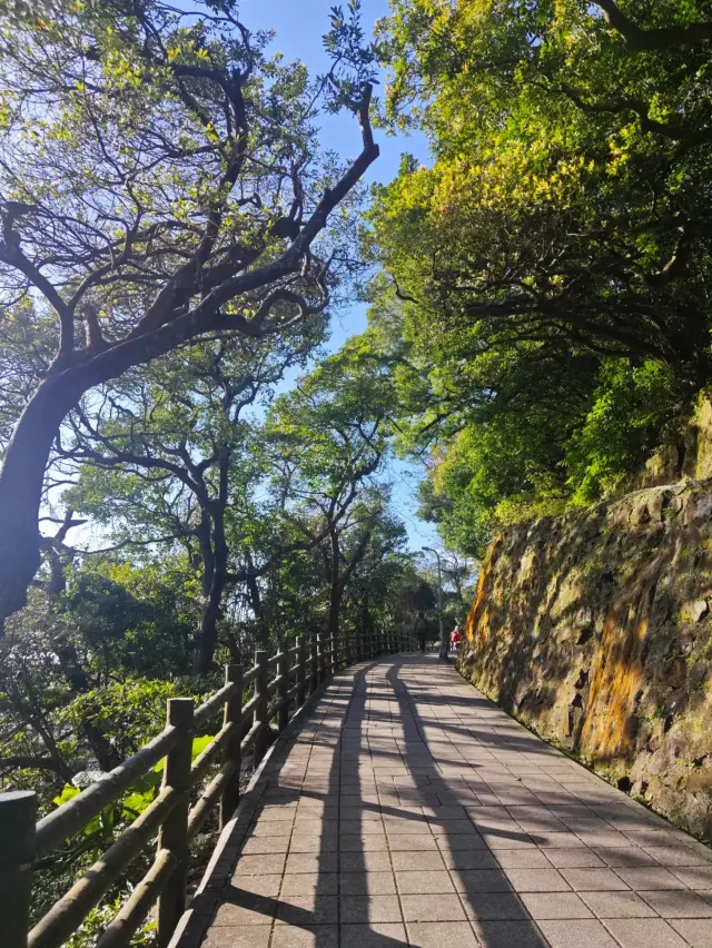 陽明山國家公園 